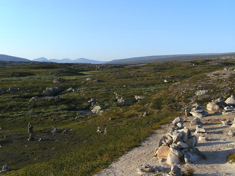 Nordkap 2009 462.jpg